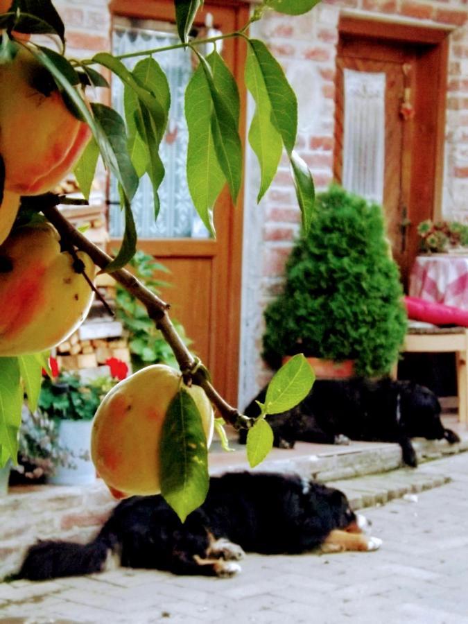 Mives Vendeghaz Hotel Pogány Eksteriør billede